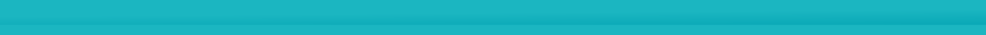 footer-divider
